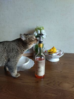 Масло норвезького лосося для собак і котів Dr.Clauder's BARF Salmon Oil Traditional Dr.Clauder's