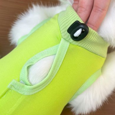 Одяг для котів після операції Holley Light Green Holley