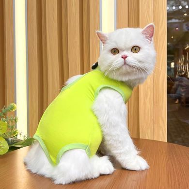 Одяг для котів після операції Holley Light Green Holley