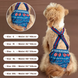 Многоразовый подгузник для сук Derby Reusable Dog Diaper KS008-01 на шлейках, S, 32-40 см
