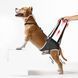 Поддерживающий слинг для собак WanTalk Dog Hind Leg Support, Medium
