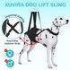 Поддерживающий слинг для собак WanTalk Dog Hind Leg Support, Medium