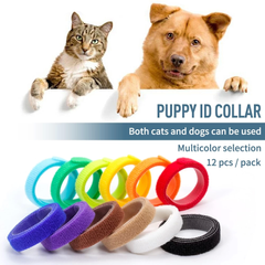 Комплект нашийників для цуценят і кошенят id Collars for Puppies, 12 шт. Derby