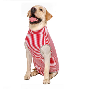 Послеоперационный боди для собак LOVEPET Red stripe