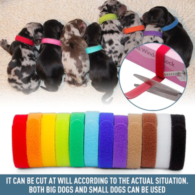 Комплект ошейников для щенков и котят id Collars for Puppies, 12 шт. Derby