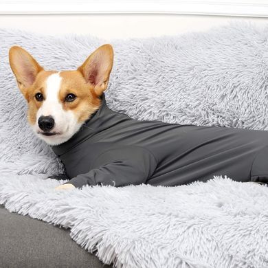 Комбінезон для відновлення собак Derby Pet Recovery Suite, Black Derby