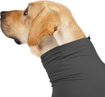 Комбінезон для відновлення собак Derby Pet Recovery Suite, Black Derby