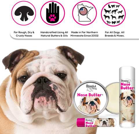 what is dog nose butter