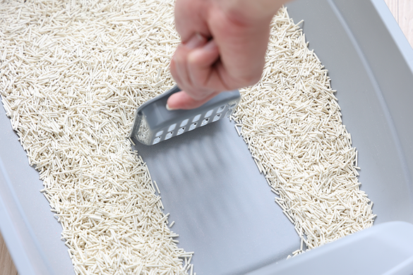 Біорозкладний наповнювач для котячих туалетів UNIQ PETS CAT LITTER TOFU natural  UniQ PETS