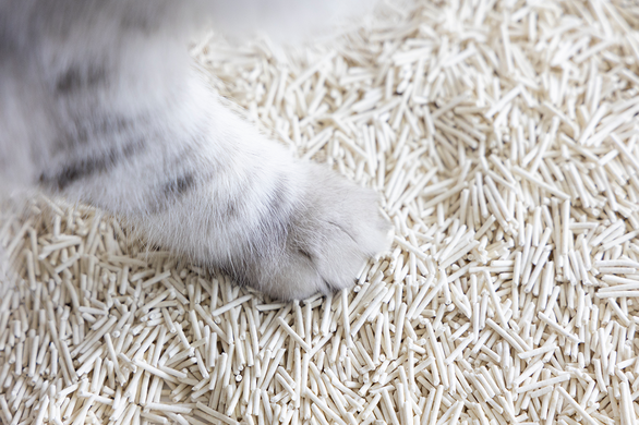 Біорозкладний наповнювач для котячих туалетів UNIQ PETS CAT LITTER TOFU natural  UniQ PETS