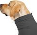Комбінезон для відновлення собак Derby Pet Recovery Suite, Black, S, 31 см, 45 см, 30 см