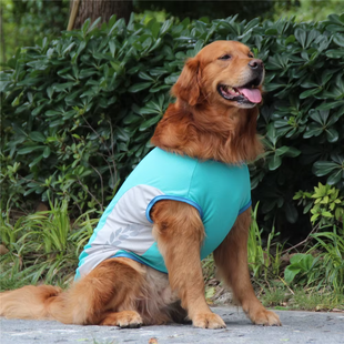 Дихаючий літній сонцезахисний одяг для собак Derby Breathable Summer Sun-protective Dog Clothing, Turquoise/Grey Derby
