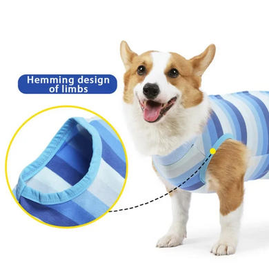 Костюм для восстановления собак WanTalk Striped Recovery Suit, Blue Wan talk