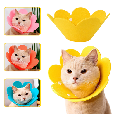 Мягкий воротник для кошек и небольших собак Derby Felt Daisy Elizabeth Collar, Orange Derby