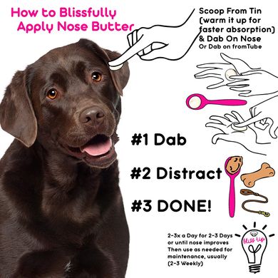 Увлажняющее масло для сухого носа собак The Blissful Dog Nose Butter (Labrador Retriever)