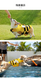 Рятувальний жилет для собак Derby Bee Design Dog Life Vest, L, 35 см, 50-75 см, 42-54 см
