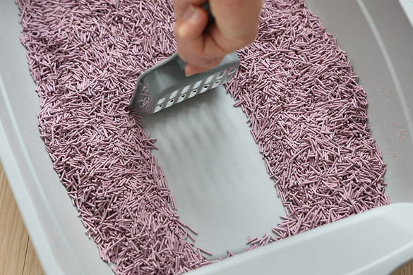 Біорозкладний наповнювач для котячих туалетів UNIQ PETS CAT LITTER TOFU lavender UniQ PETS