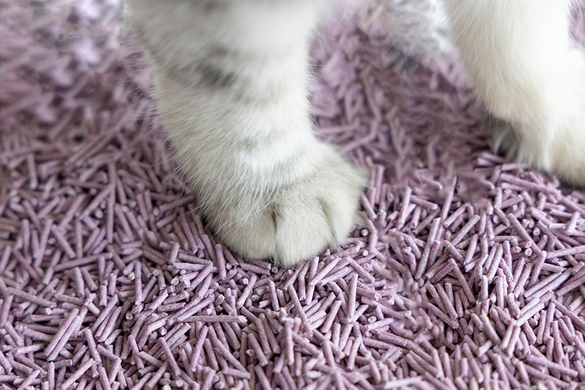 Біорозкладний наповнювач для котячих туалетів UNIQ PETS CAT LITTER TOFU lavender UniQ PETS