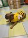 Рятувальний жилет для собак Derby Bee Design Dog Life Vest, L, 35 см, 50-75 см, 42-54 см
