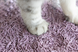 Біорозкладний наповнювач для котячих туалетів UNIQ PETS CAT LITTER TOFU lavender, 12 л, 5 кг