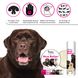 Увлажняющее масло для сухого носа собак The Blissful Dog Nose Butter (Labrador Retriever), 56 г